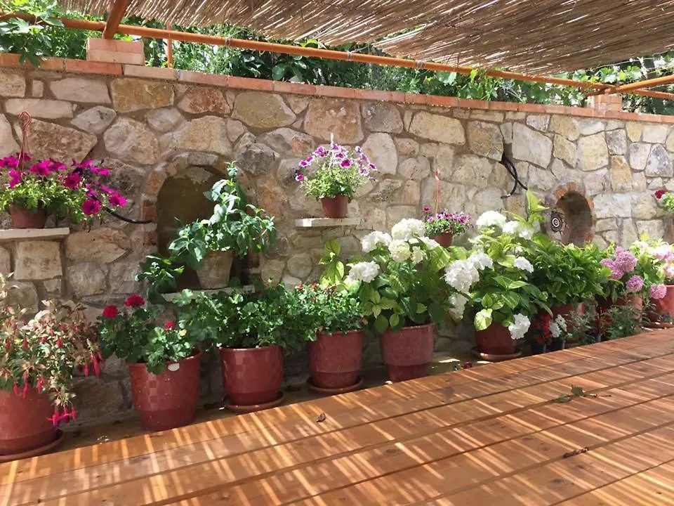 Vila Cipa Hotel Pilur