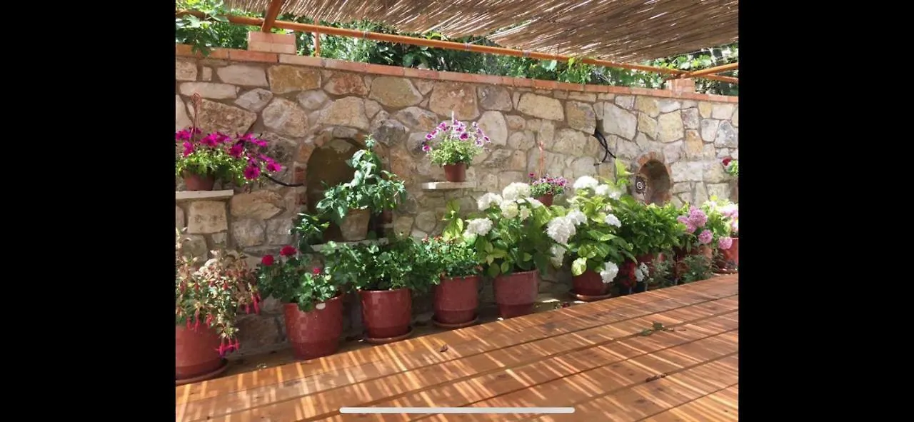Vila Cipa Hotel Pilur Albania